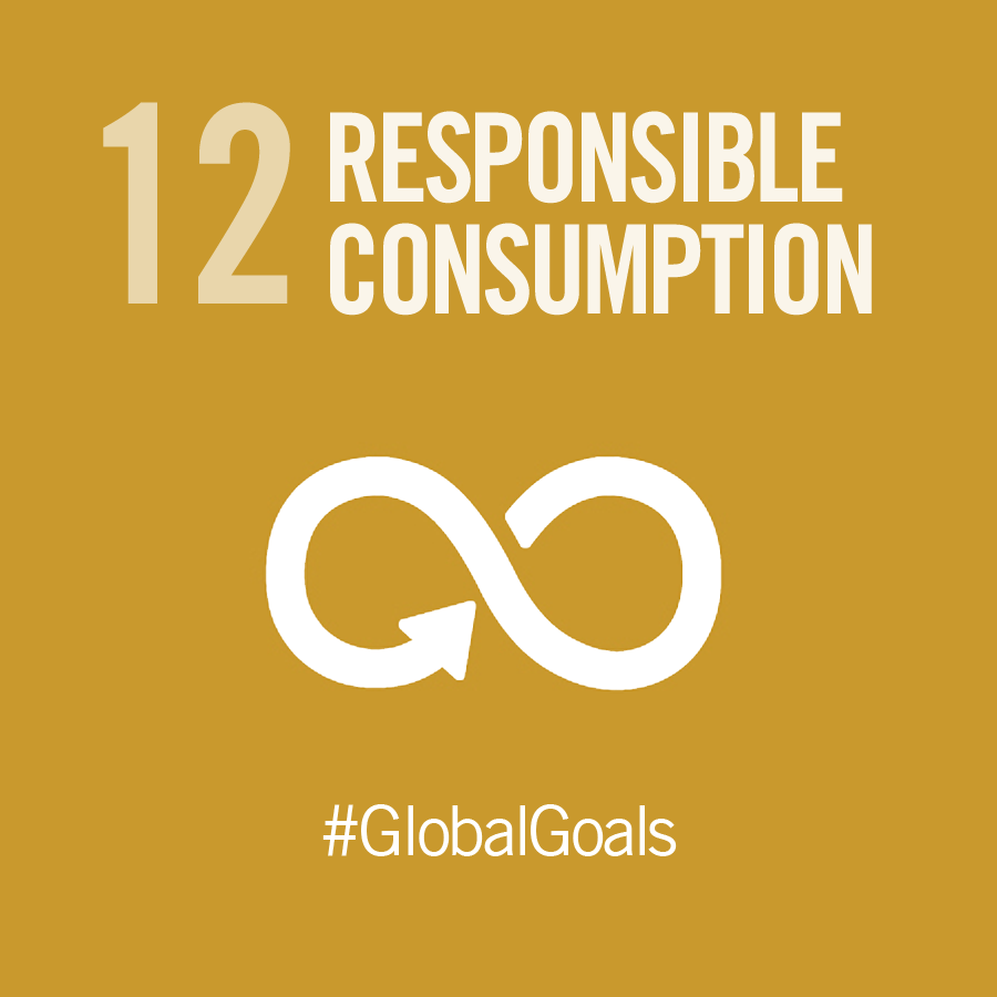 Global Goals Responsible Consumption