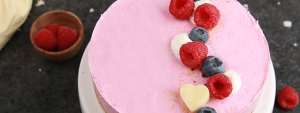 Lifeway Kefir Probiotic No Bake Cheesecake