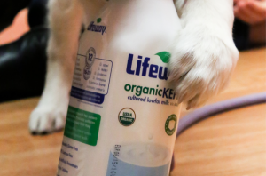 Lifeway Kefir Luna