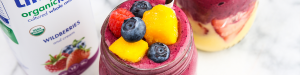 Lifeway Kefir, Tropical Mango, Pineapple and Wildberries Kefir Smoothie