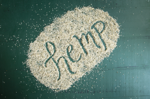 Hemp: Superfood Spotlight