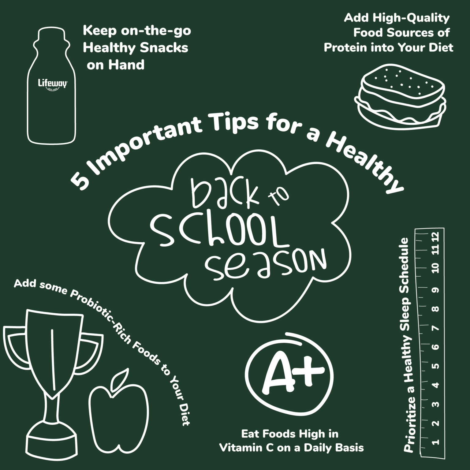 5 Important Tips for a Healthy BacktoSchool Season Lifeway Kefir