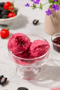 Blackberry Frozen Kefir made with Lifeway Kefir