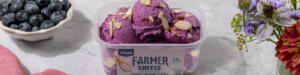 Blueberry Farmer Cheese Ice Cream made with Lifeway Farmer Cheese