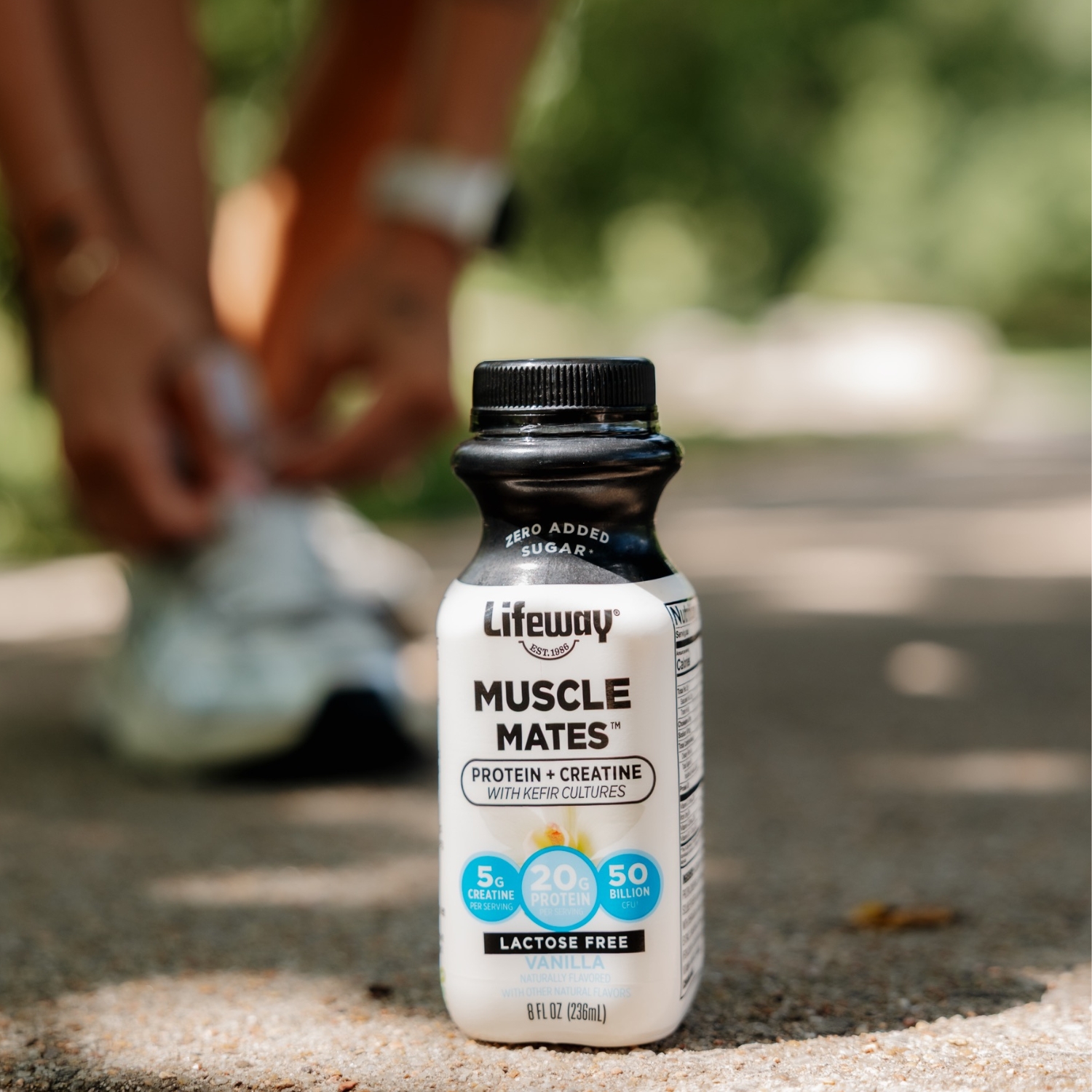 Creatine for Brain Health with Lifeway Muscle Mates Kefir: Protein, Kefir, and Creatine