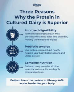 Cultured Dairy + Protein - Lifeway Kefir