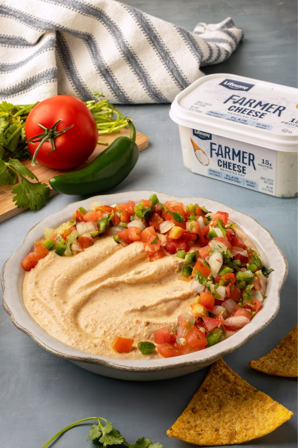 Farmer Cheese Tex Mex Dip made with Lifeway Farmer Cheese