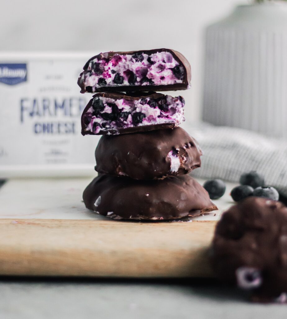 Frozen Blueberry Chocolate Farmer Cheese Bites