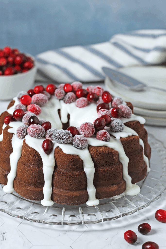 Gingerbread Bundt Cake with Sugared Cranberries - made with Lifeway