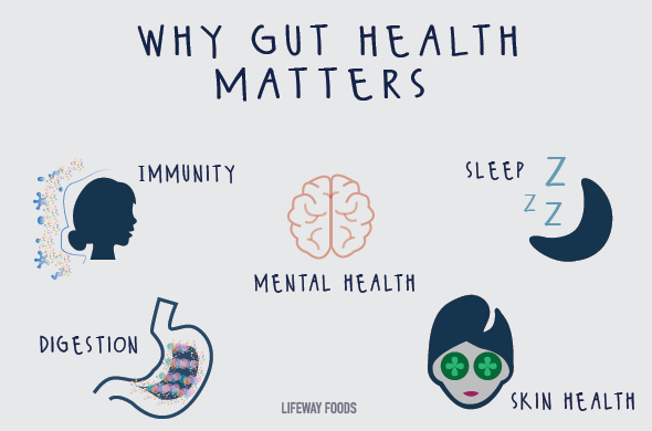 Gut Health Matters