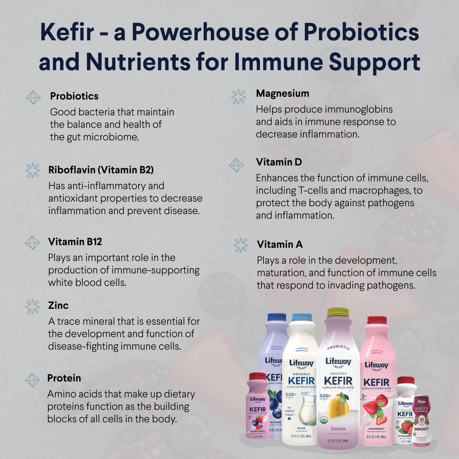 KefirInfographic Lifeway Kefir