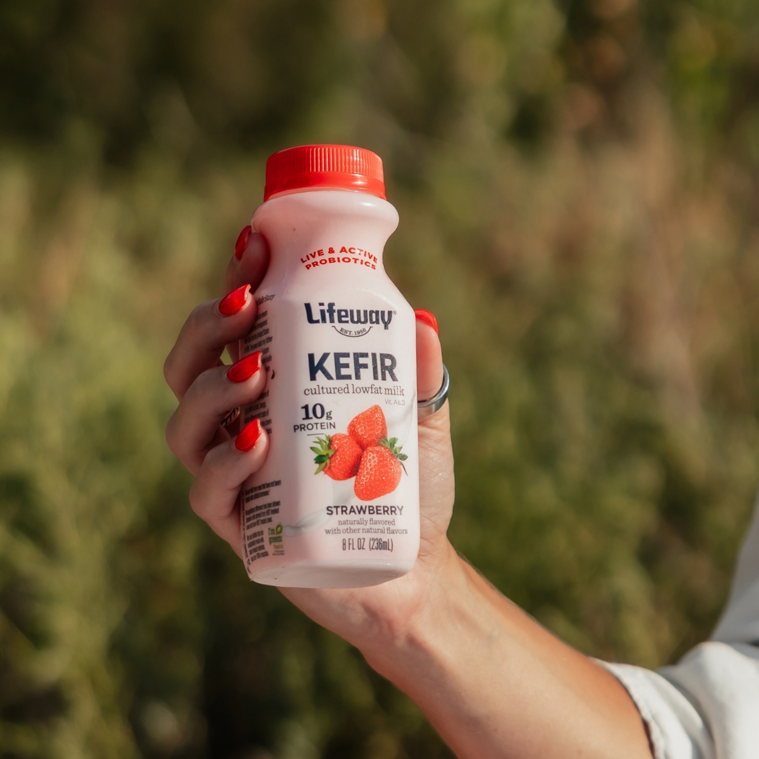Lifeway 8 ounce Kefir - Supporting Your Gut Health During Seasonal Changes