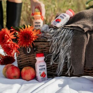 Lifeway 8 ounce Kefir - Supporting Your Gut Health During Seasonal Changes