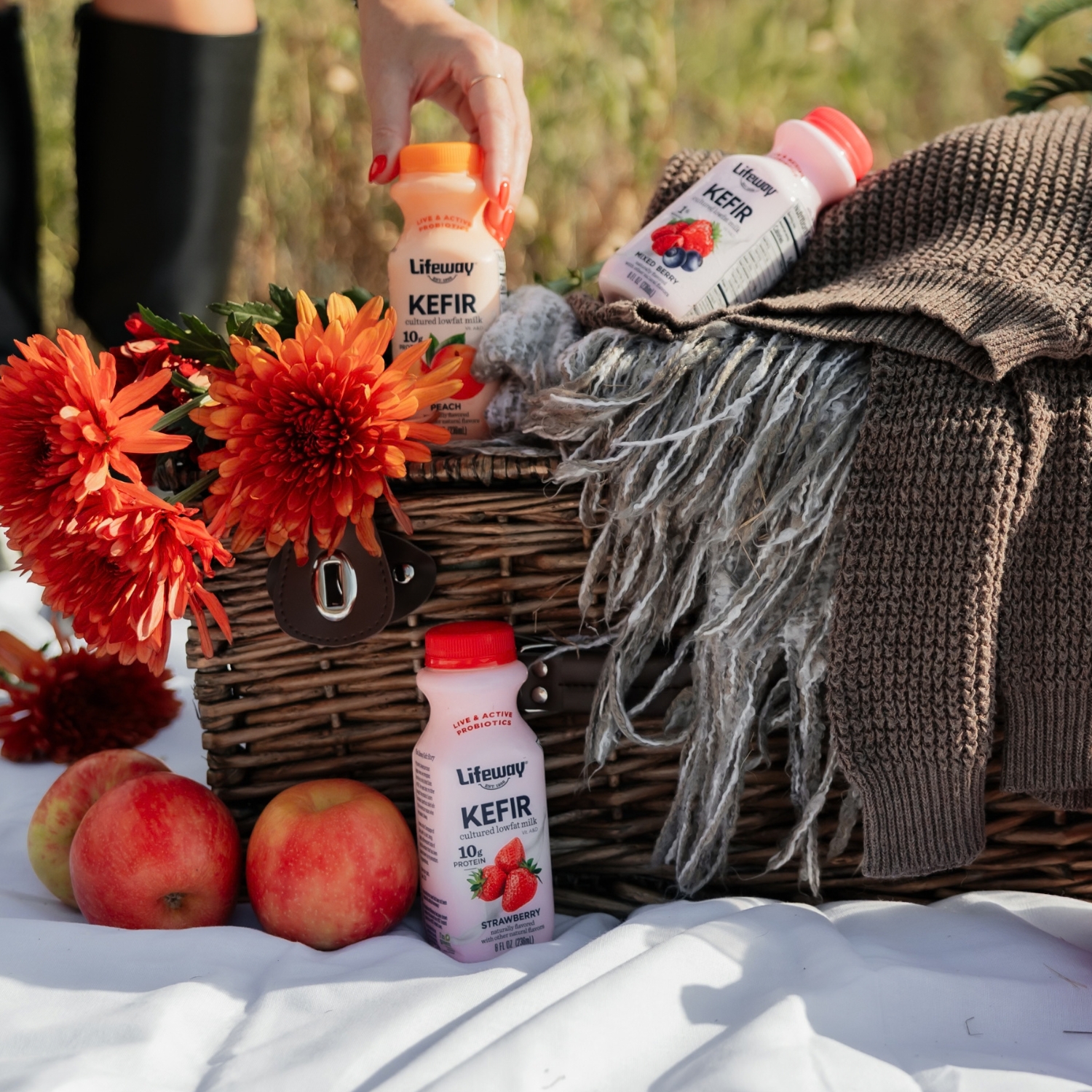 Lifeway 8 ounce Kefir - Supporting Your Gut Health During Seasonal Changes