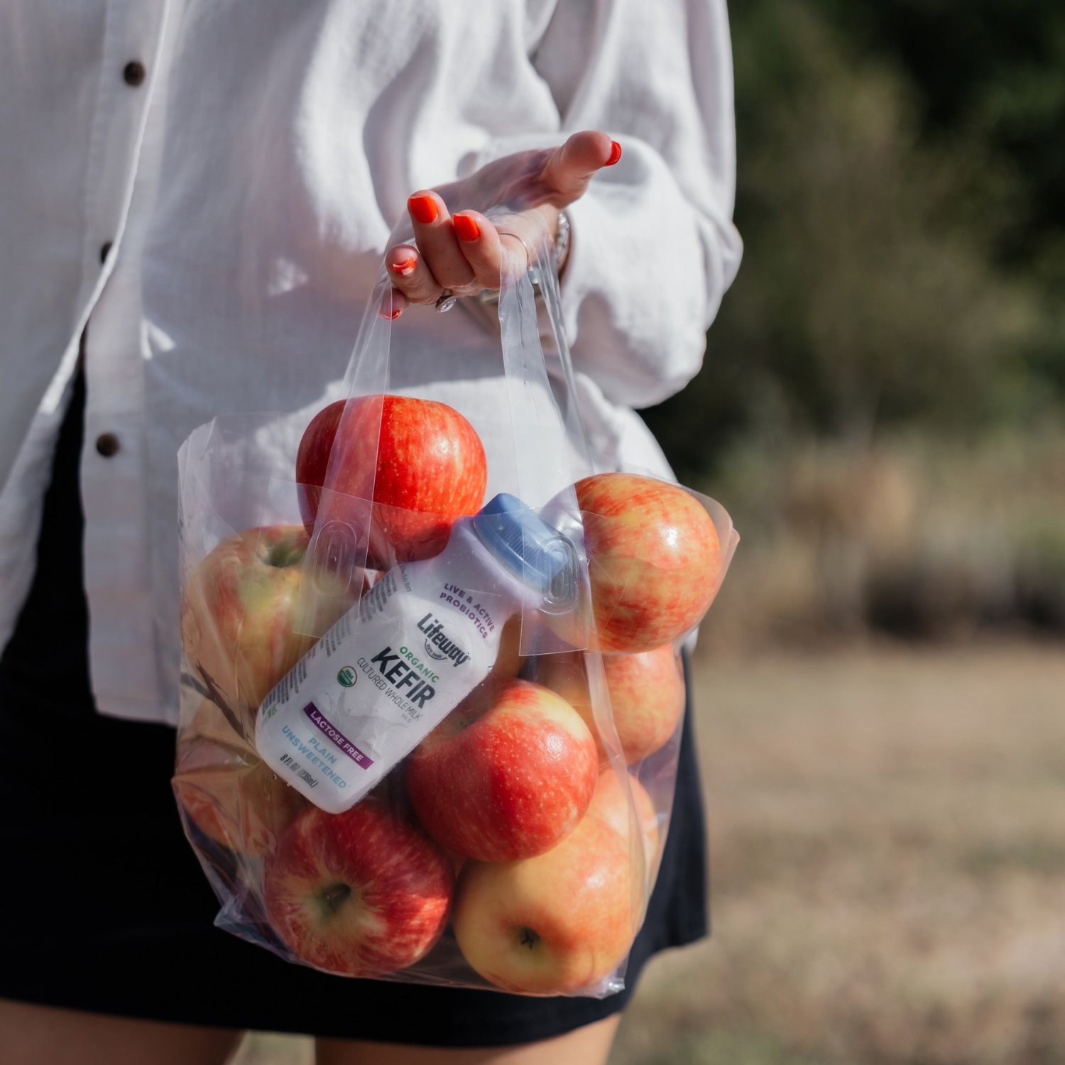 Lifeway 8 ounce Kefir - Supporting Your Gut Health During Seasonal Changes