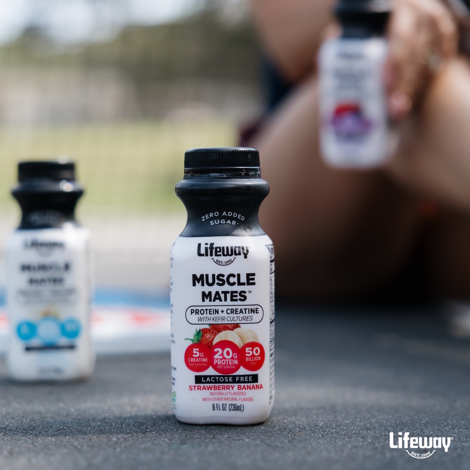 Lifeway Muscle Mates with Whey Protein, Creatine, and Probiotics from Lifeway Kefir