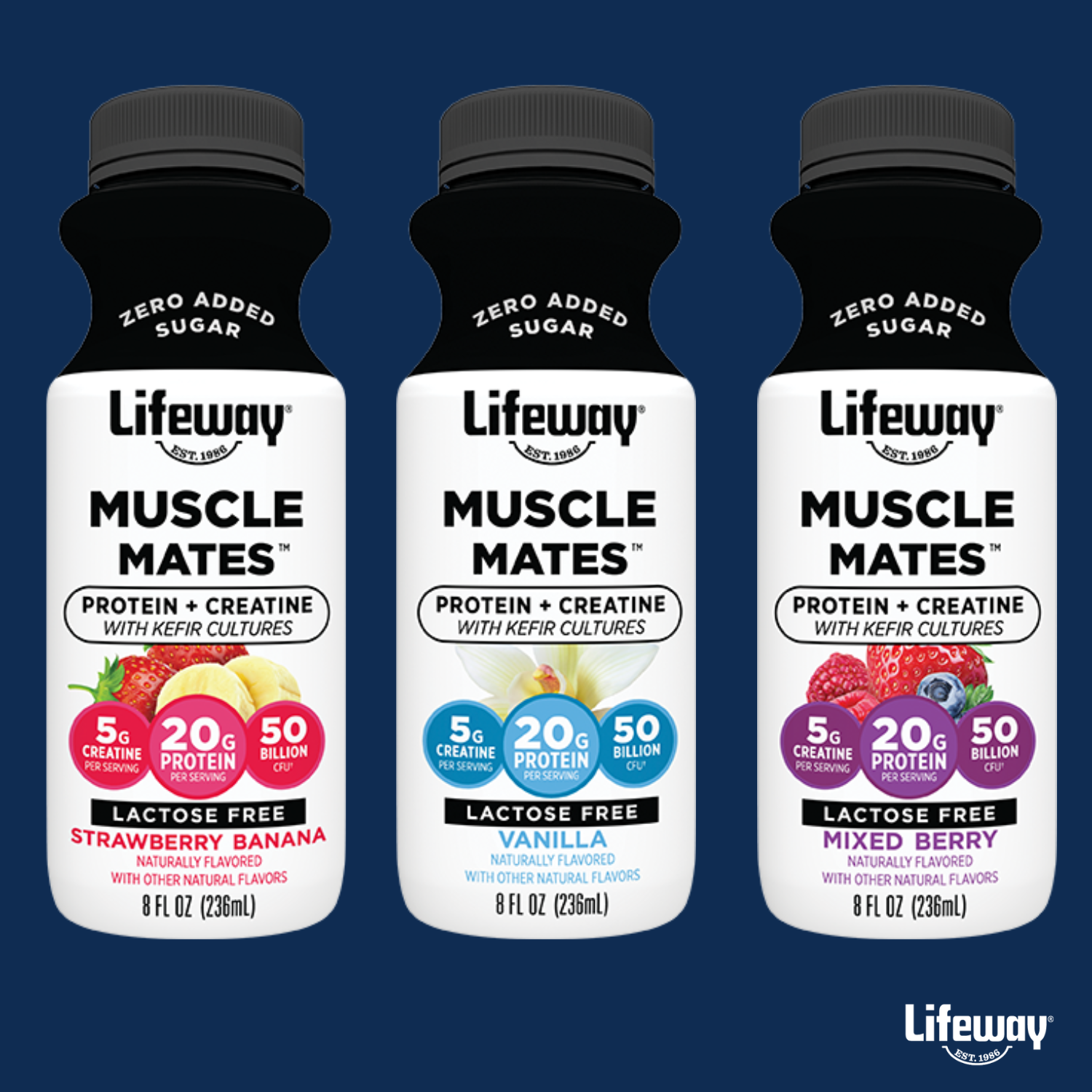 Lifeway Muscle Mates with Whey Protein, Creatine, and Probiotics from Lifeway Kefir