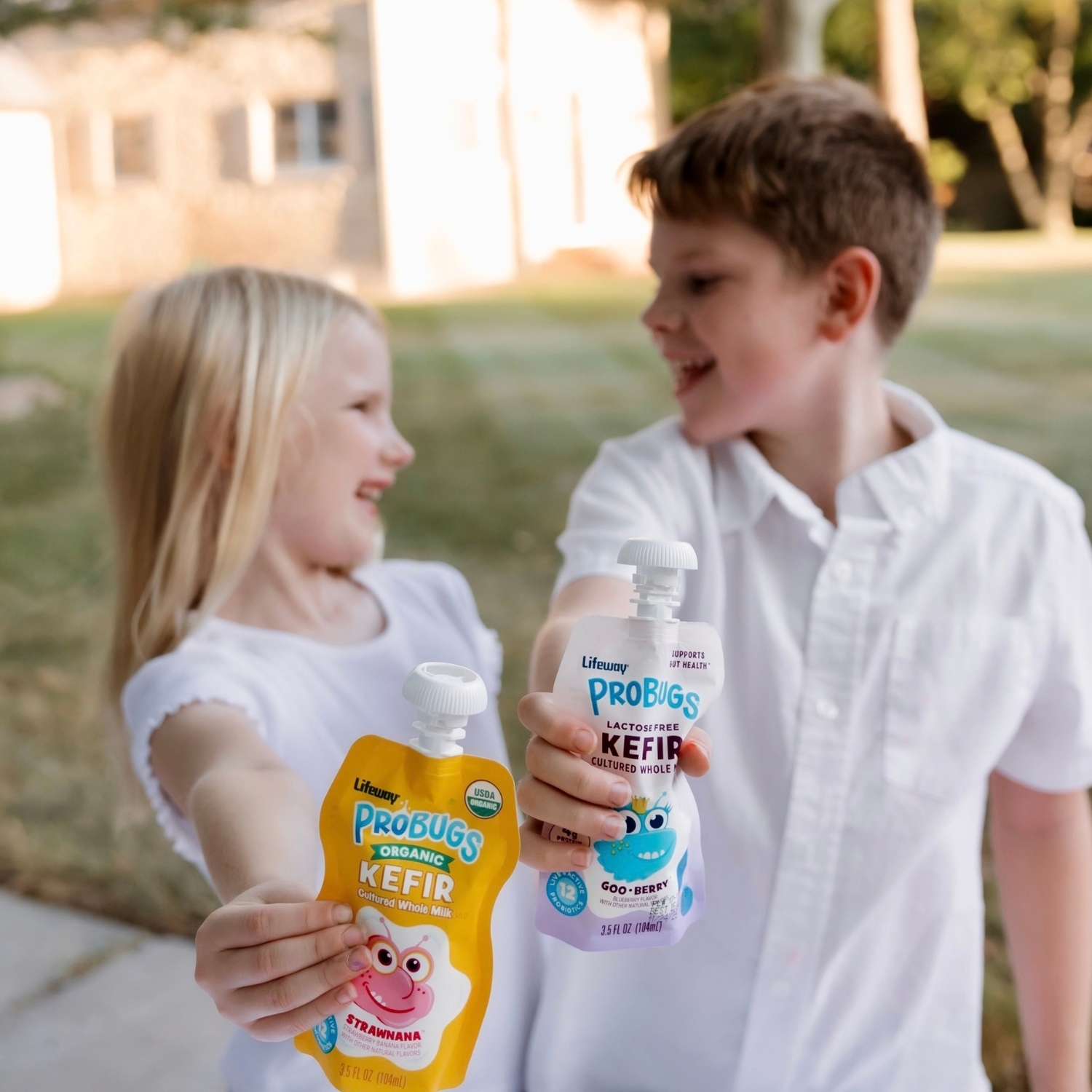 Lifeway ProBugs: Kefir Pouches for Kids with Probiotics, Calcium, Protein, and Whole Milk Nutrition