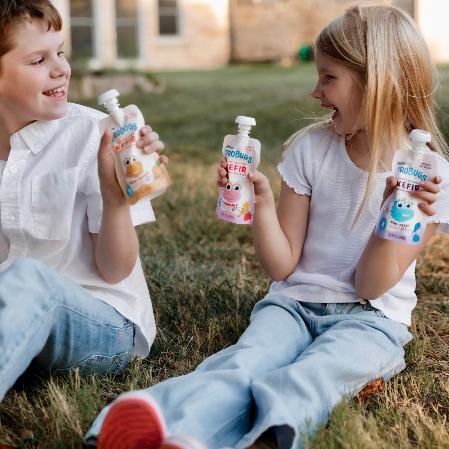 Lifeway ProBugs: Kefir Pouches for Kids with Probiotics, Calcium, Protein, and Whole Milk Nutrition
