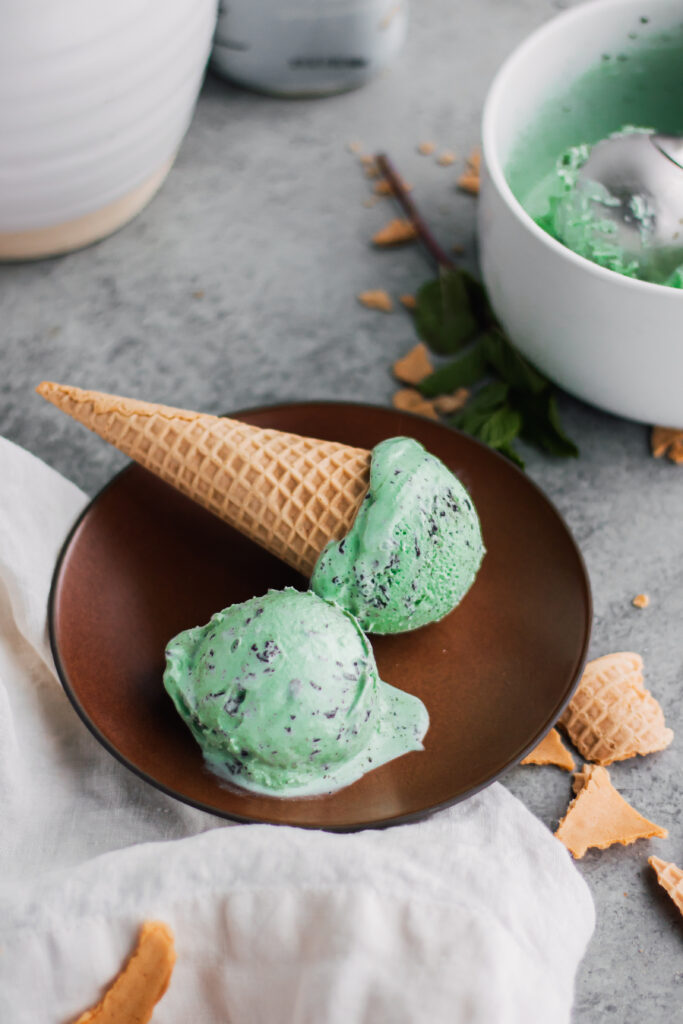 Mint Chocolate Chip Ice Cream made with Lifeway Kefir