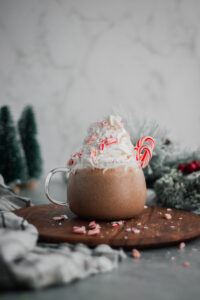 Peppermint Mocha Probiotic Shake made with Lifeway Kefir