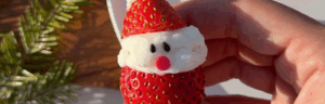 Strawberry Santa Cheesecake Bites - made with Lifeway Farmer Cheese