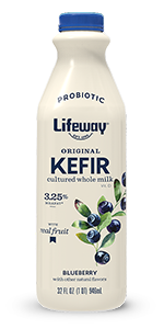 Blueberry Whole Milk Kefir with Real Fruit
