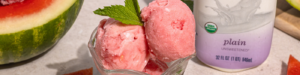 Watermelon Frozen Kefir made with Lifeway Kefir
