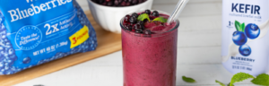 Wild Blueberry Kefir Smoothie made with Lifeway Kefir and Wyman's wild blueberries